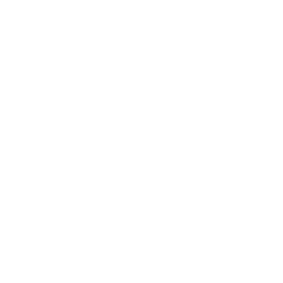 algorithm