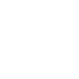 software